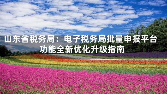 山东省税务局：电子税务局批量申报平台功能全新优化升级指南