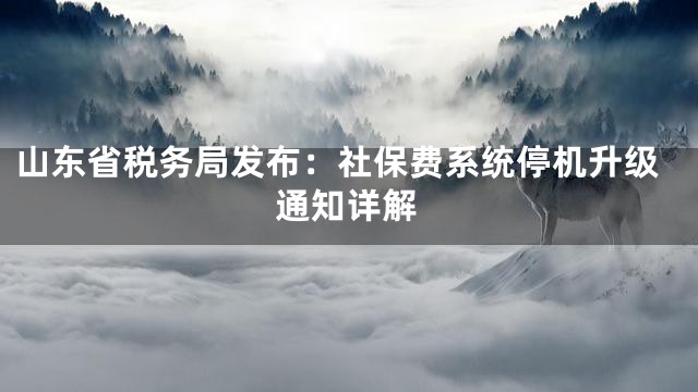 山东省税务局发布：社保费系统停机升级通知详解