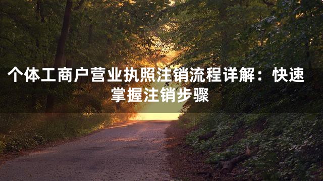 个体工商户营业执照注销流程详解：快速掌握注销步骤