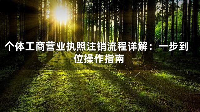 个体工商营业执照注销流程详解：一步到位操作指南