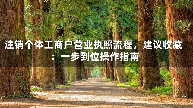 注销个体工商户营业执照流程，建议收藏：一步到位操作指南