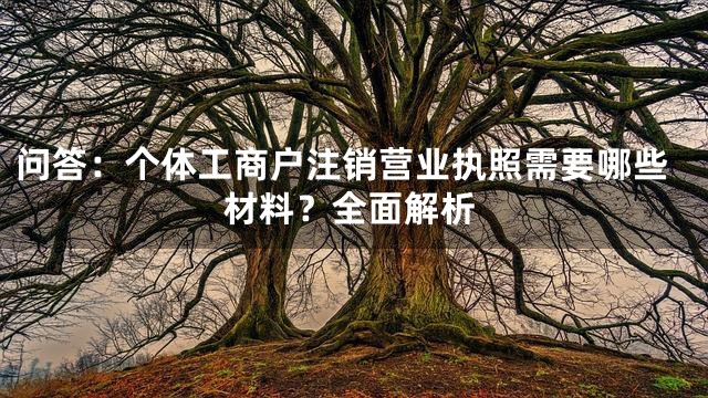 问答：个体工商户注销营业执照需要哪些材料？全面解析