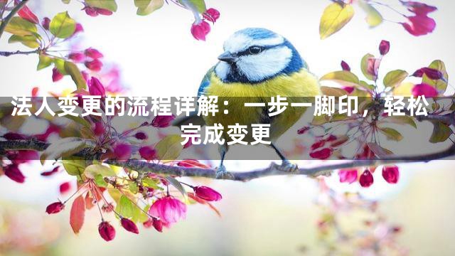 法人变更的流程详解：一步一脚印，轻松完成变更
