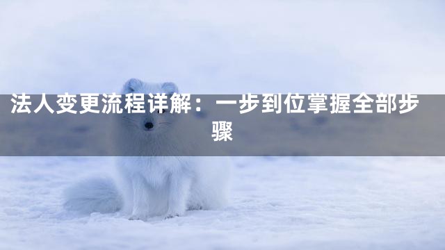 法人变更流程详解：一步到位掌握全部步骤