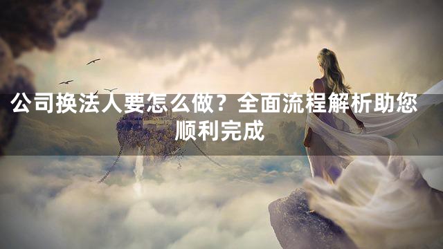 公司换法人要怎么做？全面流程解析助您顺利完成