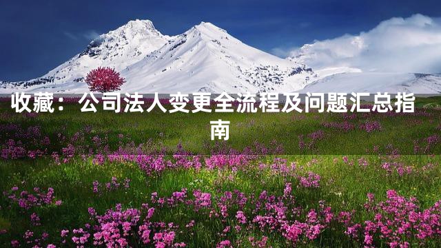 收藏：公司法人变更全流程及问题汇总指南