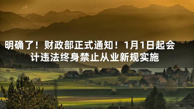明确了！财政部正式通知！1月1日起会计违法终身禁止从业新规实施