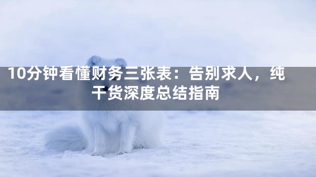 10分钟看懂财务三张表：告别求人，纯干货深度总结指南