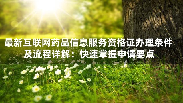 最新互联网药品信息服务资格证办理条件及流程详解：快速掌握申请要点