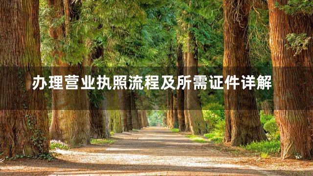 办理营业执照流程及所需证件详解