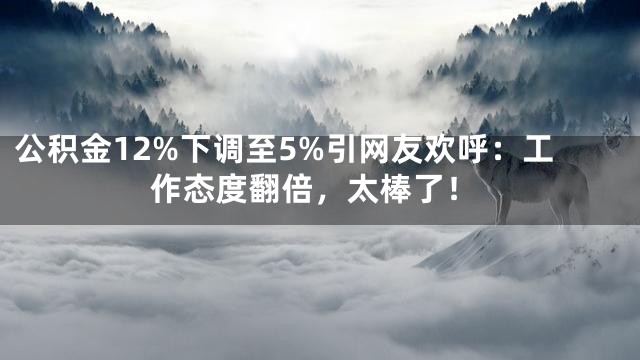 公积金12%下调至5%引网友欢呼：工作态度翻倍，太棒了！