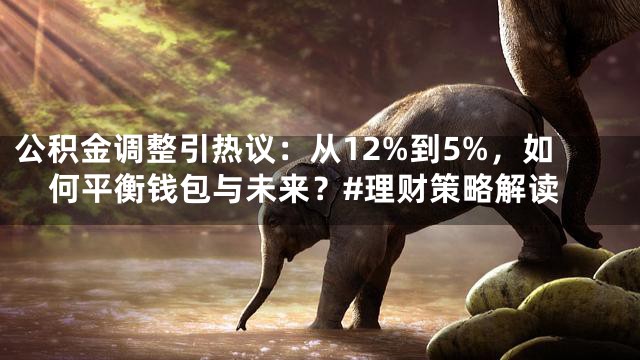 公积金调整引热议：从12%到5%，如何平衡钱包与未来？#理财策略解读