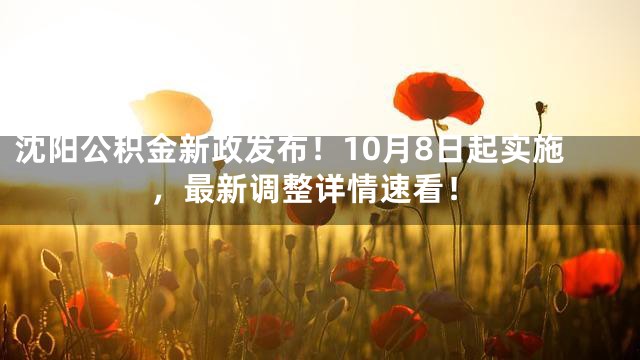 沈阳公积金新政发布！10月8日起实施，最新调整详情速看！