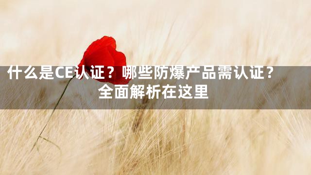 什么是CE认证？哪些防爆产品需认证？全面解析在这里