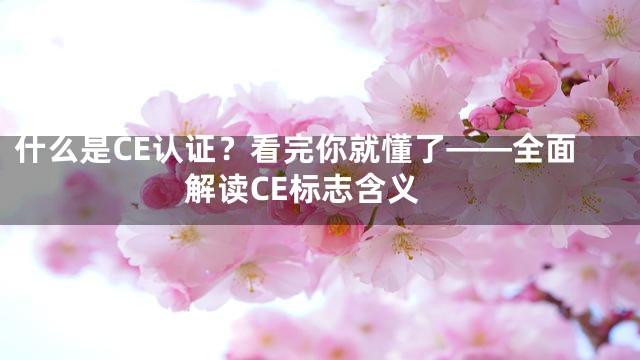 什么是CE认证？看完你就懂了——全面解读CE标志含义