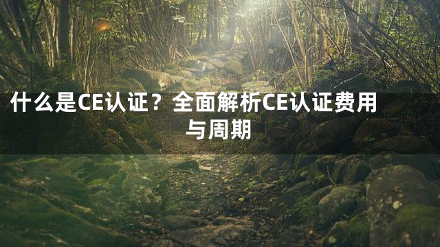 什么是CE认证？全面解析CE认证费用与周期