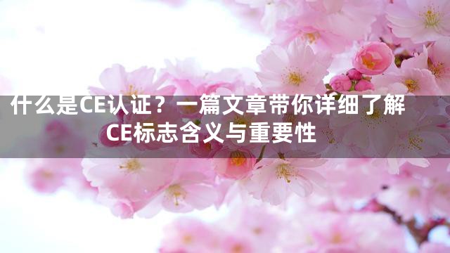 什么是CE认证？一篇文章带你详细了解CE标志含义与重要性