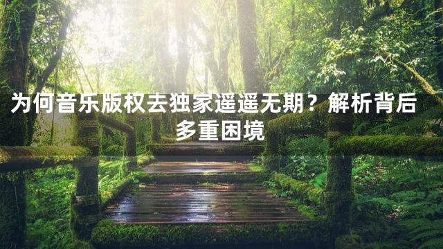 为何音乐版权去独家遥遥无期？解析背后多重困境