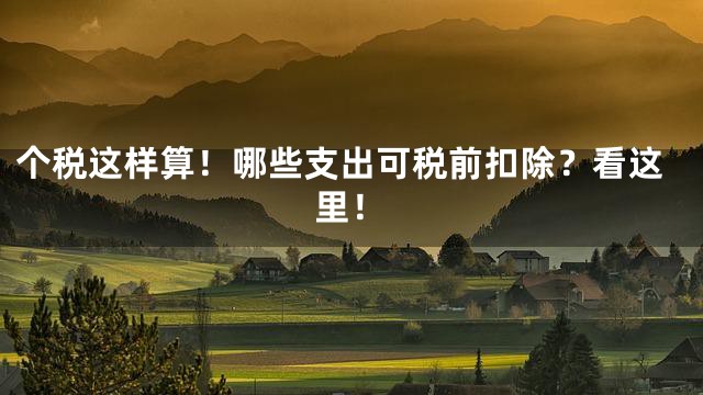 个税这样算！哪些支出可税前扣除？看这里！