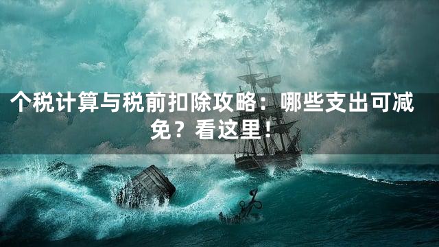 个税计算与税前扣除攻略：哪些支出可减免？看这里！