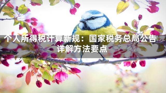 个人所得税计算新规：国家税务总局公告详解方法要点