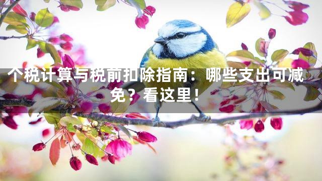 个税计算与税前扣除指南：哪些支出可减免？看这里！