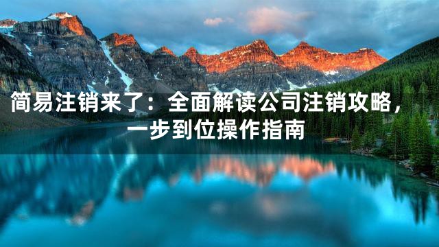 简易注销来了：全面解读公司注销攻略，一步到位操作指南