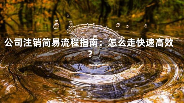 公司注销简易流程指南：怎么走快速高效？