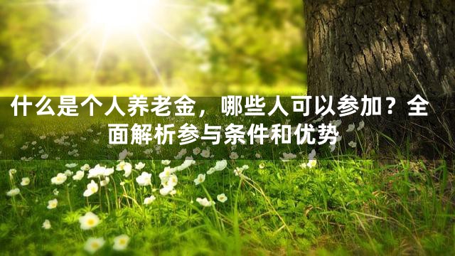 什么是个人养老金，哪些人可以参加？全面解析参与条件和优势