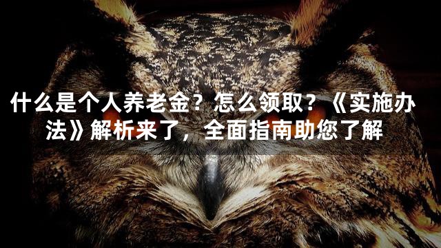 什么是个人养老金？怎么领取？《实施办法》解析来了，全面指南助您了解